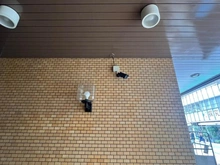 【東京都/三鷹市下連雀】ライオンズマンション三鷹駅前通り エントランス：防犯カメラ