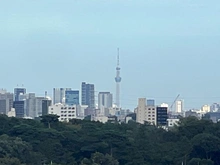 【東京都/三鷹市下連雀】ヴァースクレイシア三鷹 眺望：ズームあり