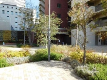 【大阪府/大阪市西区江之子島】阿波座ライズタワーズマーク20 アプローチ