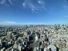 【大阪府/大阪市西区南堀江】シエリアタワー大阪堀江 眺望