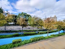 【大阪府/大阪市西淀川区大和田】キングマンション姫島II 大野川緑陰道路（現地より約80m）