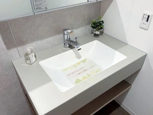 【大阪府/大阪市福島区海老江】グリーンコーポ野田阪神II 洗面室：洗面化粧台