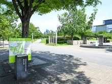 【大阪府/大阪市北区扇町】パークタワー梅田 扇町公園（現地より約240m）