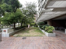 【大阪府/大阪市北区長柄東】桜第三コーポ 敷地内