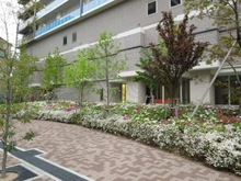 【大阪府/大阪市西区南堀江】ヴィークタワー南堀江 アプローチ