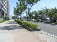 【大阪府/大阪市北区天満橋】天満橋レジデンスエアリーコート 前面道路