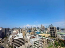 【大阪府/大阪市天王寺区空清町】ライオンズマンション清水谷公園 眺望
