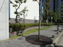 【大阪府/大阪市福島区福島】キングマンションフェリシティ西梅田 敷地内