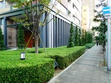 【大阪府/大阪市西区新町】サンクタスタワー心斎橋ミラノグランデ 敷地内