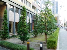 【大阪府/大阪市西区新町】サンクタスタワー心斎橋ミラノグランデ 敷地内