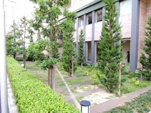 【大阪府/大阪市西区新町】サンクタスタワー心斎橋ミラノグランデ 敷地内