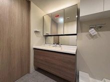 【東京都/大田区山王】パーク・コート山王 洗面所