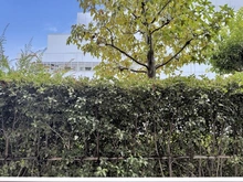 【東京都/大田区久が原】ヴェーゼント久が原 眺望