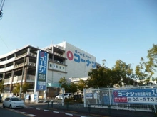 【東京都/大田区本羽田】レック東多摩川スカイハイツ3号館 ホームセンターコーナン本羽田萩中店（現地より約545m）