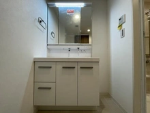 【東京都/大田区矢口】東急ドエルアルス多摩川 洗面所