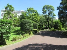 【東京都/大田区下丸子】多摩川ハイム 1号棟 敷地内