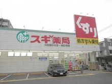 【東京都/大田区下丸子】パークハウス多摩川南 5番館 スギ薬局大田鵜の木店（現地より約405m）