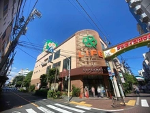 【東京都/大田区西蒲田】ガーデンホーム西蒲田 ライフ西蒲田店（現地より約500m）