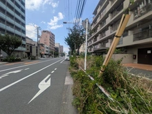 【東京都/品川区南大井】ニックハイム大森第一 前面道路