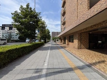 【東京都/大田区大森本町】ハイツ福久良 前面道路