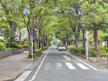 【東京都/大田区下丸子】パークハウス多摩川南五番館 前面道路