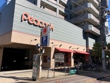 【東京都/大田区南雪谷】南雪谷ハイツ ピーコックストア石川台店（現地より約655m）