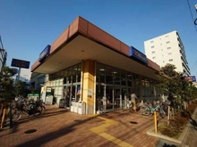 【東京都/大田区下丸子】東京サーハウス センターポート 東武ストア下丸子店（現地より約110m）