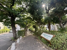 【東京都/江戸川区本一色】日商岩井新小岩マンション 小松川境川親水公園（現地より約54m）：