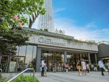 【東京都/墨田区本所】セザール本所吾妻橋 東京スカイツリータウン　ソラマチ（現地より約800m）