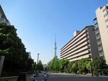 【東京都/墨田区緑】ヴェラハイツ錦糸町 大横川親水公園（現地より約170m）