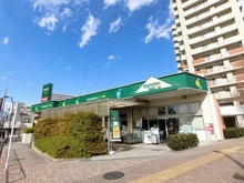 【東京都/葛飾区東新小岩】パークタワー東京イースト マルエツプチ新小岩店（現地より約300m）