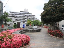 【東京都/葛飾区東新小岩】パークタワー東京イースト 区立西井堀せせらぎパーク（現地より約180m）