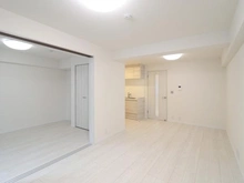 【東京都/墨田区立川】セザール錦糸町 LDK＋洋室