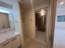 【東京都/墨田区亀沢】ル・リオン錦糸町エグゼ 洗面所