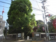 【東京都/墨田区横網】ライオンズマンション両国リバーステージ 墨田区立旧安田庭園（現地より約240m）
