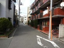 【東京都/葛飾区東新小岩】セザール新小岩 前面道路