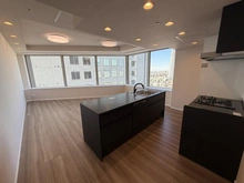 【東京都/墨田区太平】ブリリアタワー東京 LDK