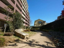 【東京都/葛飾区柴又】グリーンティエラ柴又 敷地内