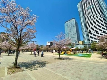 【東京都/墨田区太平】Brilliaタワー東京 錦糸公園（現地より約20m）