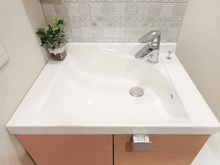 【東京都/墨田区両国】ヴィラロイヤル両国 洗面所