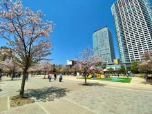 【東京都/墨田区太平】ブリリアタワー東京 錦糸公園（現地より約20m）