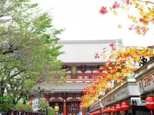 【東京都/墨田区業平】業平橋住宅 浅草寺（現地より約1,400m）