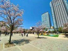 【東京都/墨田区太平】ブリリアタワー東京 錦糸公園（現地より約20m）