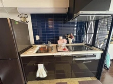 【東京都/日野市高幡】ステーションプラザ高幡不動 キッチン：家具調度品は価格に含まれません