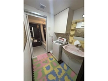 【東京都/日野市高幡】ステーションプラザ高幡不動 洗面所：家具調度品は価格に含まれません