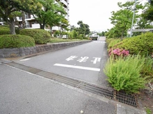 【東京都/八王子市鹿島】グリーンコープ鹿島 前面道路