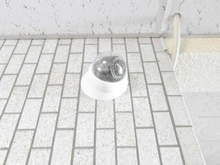 【東京都/府中市緑町】田園キャッスル府中 防犯カメラ