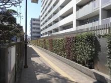 【東京都/府中市西府町】ライオンズガーデン府中アクロスフォート 前面道路