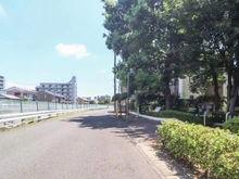 【神奈川県/大和市中央】コスモ大和スターアベニュー ファーストウイング 前面道路