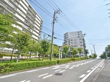 【神奈川県/横浜市戸塚区下倉田町】コスモ戸塚リベラヒルズ B棟 前面道路